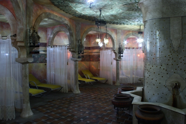 Hotel Thermal Visegrad (Visegrád)